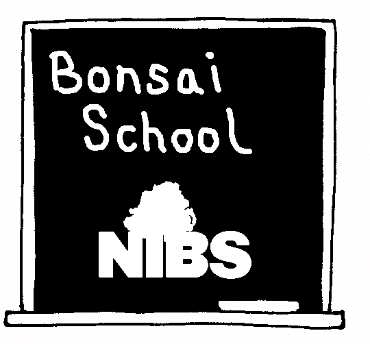 bonsai school prelim logo