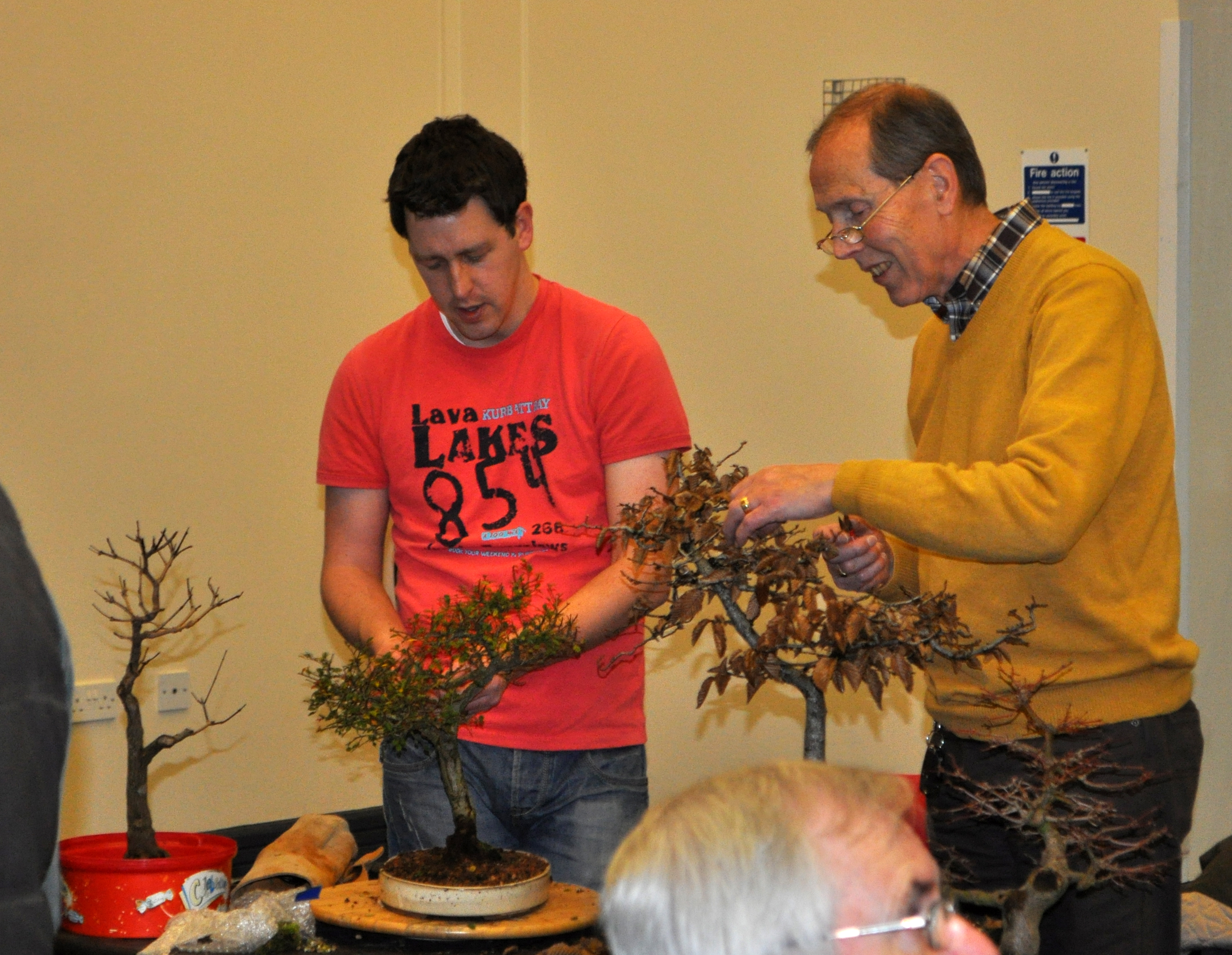 Ian working on a tree in January, first time in 5 years ;-)