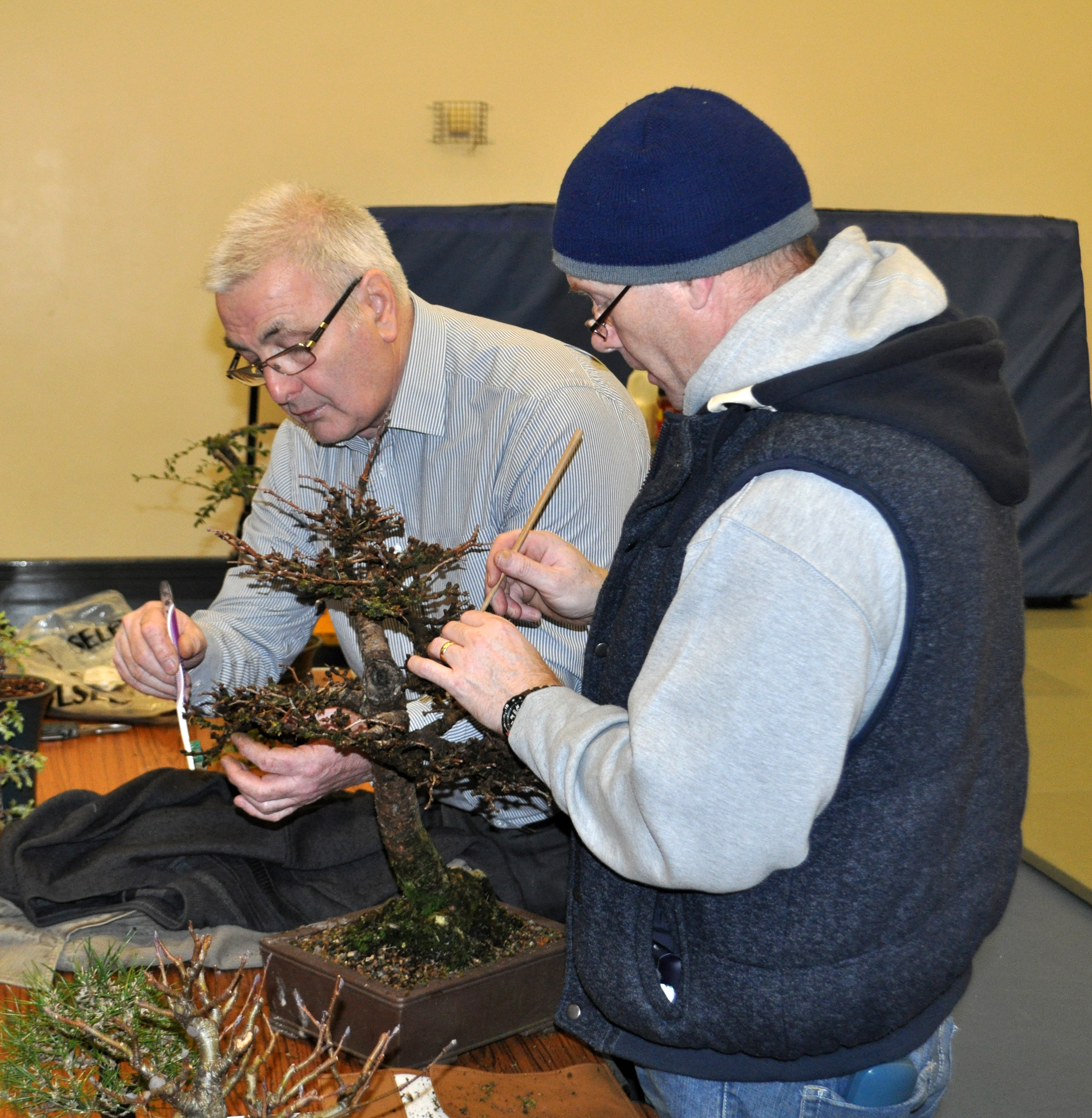 Tucker and Michael on a Larch clean up