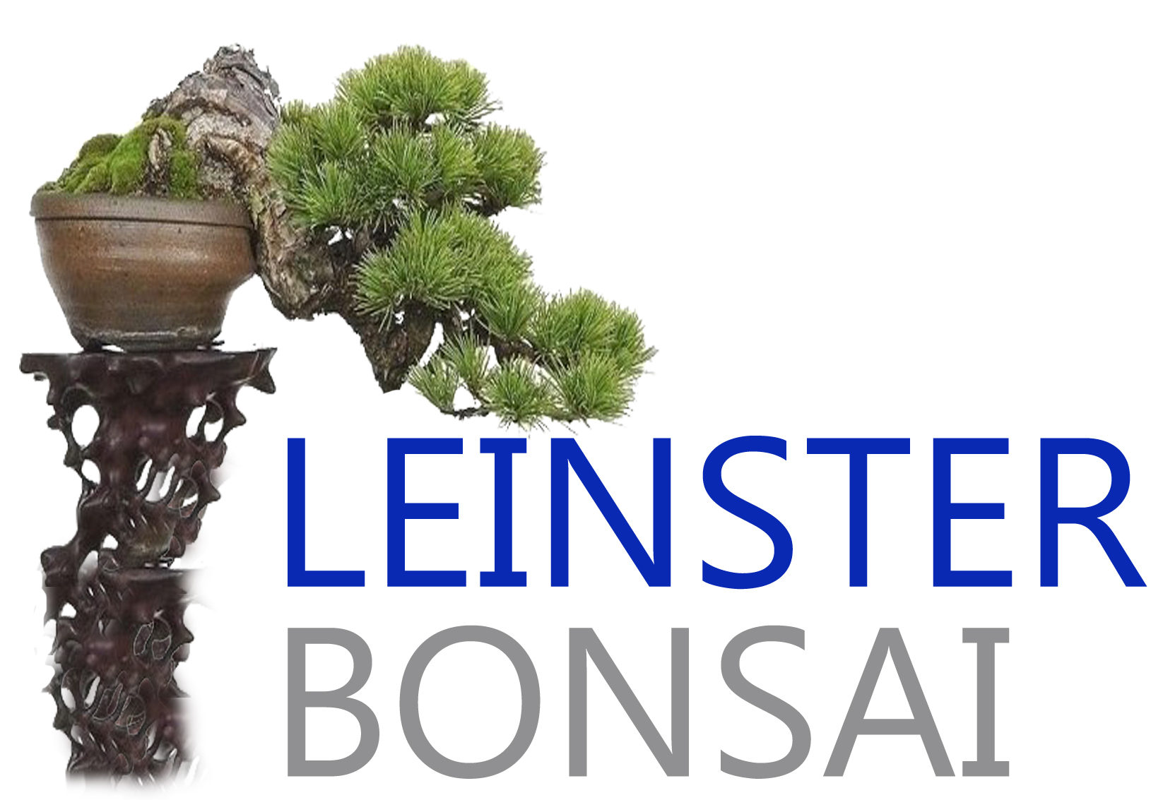 Leinster Bonsai logo2
