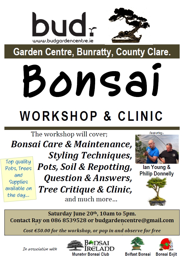 bud bonsai flyer