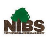 Northern Ireland Bonsai Society